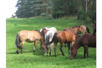 Lenkija Penzión Sorkwity, Eksterjeras