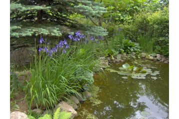 Польша Chata Chmielno, Экстерьер