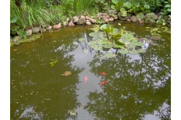 Польша Chata Chmielno, Экстерьер