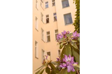 Germania Byt Berlin, Exteriorul