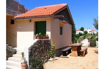 Kroatia Byt Barbat, Eksteriør