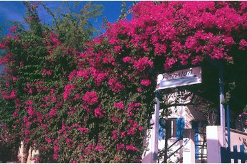 Grecja Penzión Karterados, Zewnątrz