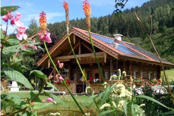 Østerrike Chata Flachau, Eksteriør