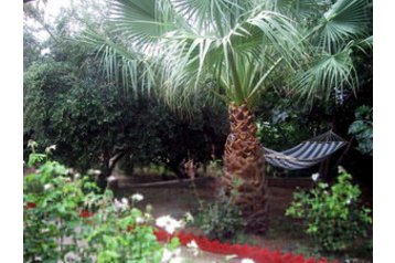 Privat Palekastro 5