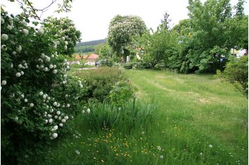Viešbutis Kozina 6