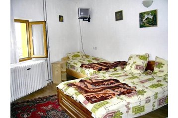 Rumunsko Penzión Borşa, Exteriér