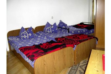 Rumunsko Penzión Borşa, Exteriér