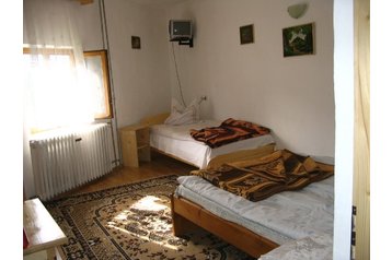 Rumunsko Penzión Borşa, Exteriér