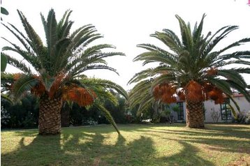 Hotel Ammoudara 10