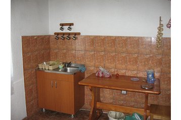 Romania Chata Dejani, Exterior