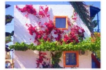 Kreeka Privát Ammoudara, Eksterjöör