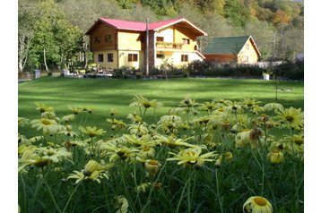 Rumeenia Privát Cârţişoara, Eksterjöör