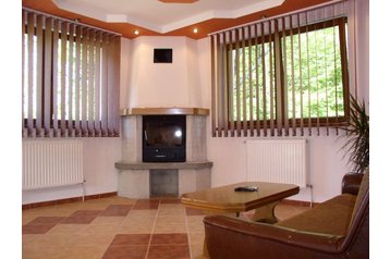 Rumeenia Privát Cârţişoara, Eksterjöör