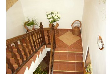 Rumeenia Privát Cârţişoara, Eksterjöör