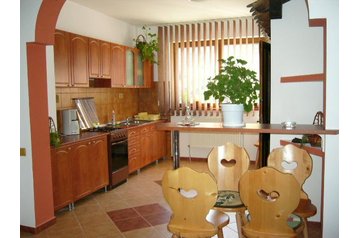 Rumunsko Privát Cârţişoara, Exteriér