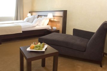 Cehia Hotel Praga / Praha, Exteriorul