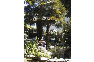 Отель Locarno 6