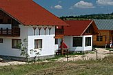 Fizetővendéglátó-hely Bran Románia