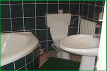 Румъния Penzión Răşinari, Екстериор