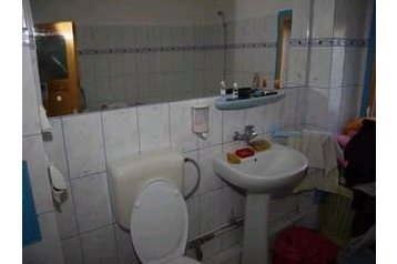 Rumunsko Privát Copalnic, Exteriér