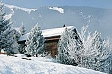 Chalet Vilters-Wangs Svizzera