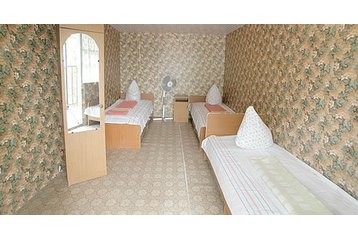 Venemaa Privát Vitjazevo, Eksterjöör