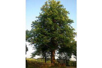 Czech Republic Chata Žirov, Exterior