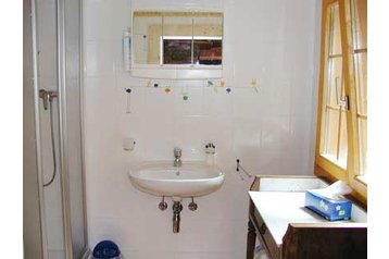 Швейцария Byt Trient, Экстерьер