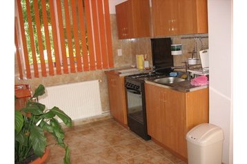 Rumunsko Privát Arsa, Exteriér