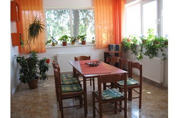 Rumunsko Privát Arsa, Exteriér