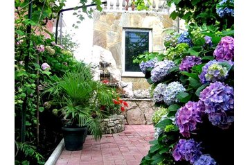 Rosja Hotel Soczi / Sochi, Zewnątrz