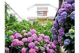 Viešbutis Sočis / Sochi Rusija