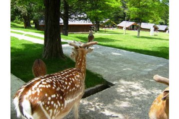 Albānija Hotel Himarë, Eksterjers