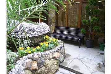 Rusko Hotel Soči / Sochi, Exteriér