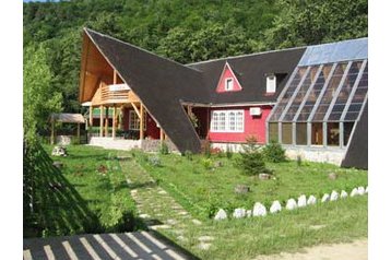 Rumeenia Privát Lepşa, Eksterjöör