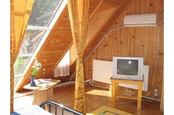 Rumeenia Privát Lepşa, Eksterjöör