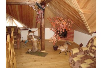 Украйна Hotel Dolyna, Екстериор