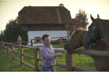 Вила Buch-Geiseldorf 3