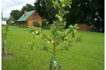Lettonia Chata Bīriņi, Esterno