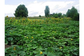 Bielorussia Chata Lavrinovichi, Esterno