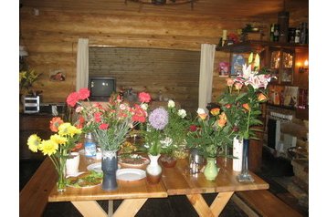 Латвия Hotel Plācis, Екстериор