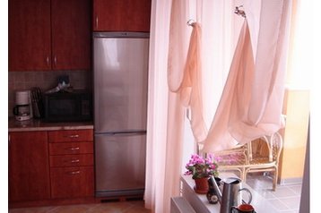 Ungārija Byt Bük, Eksterjers