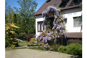 Ungarn Privát Eger, Eksteriør