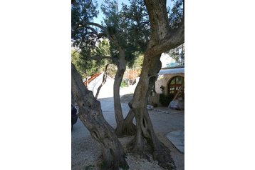 Pensionas Živogošće 8