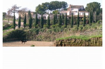 Pension Rome / Roma 7