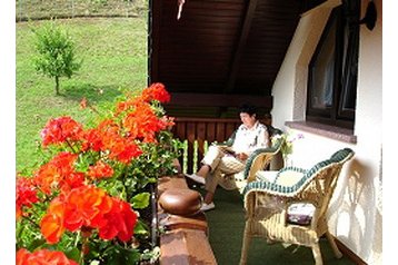 Германия Chata Trusetal, Экстерьер