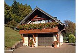 Chalet Trusetal Germania