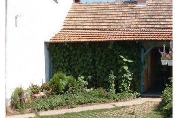 Унгария Byt Abádszalók, Екстериор