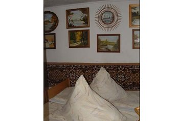 Madjarska Byt Abádszalók, Eksterijer