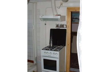 Madjarska Byt Abádszalók, Eksterijer